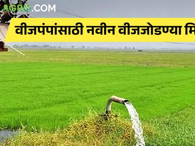 Make way for new power connections for power pumps | वीजपंपांसाठी नवीन वीजजोडण्या मिळण्याचा मार्ग मोकळा Make way for new power connections for power pumps | वीजपंपांसाठी नवीन वीजजोडण्या मिळण्याचा मार्ग मोकळा