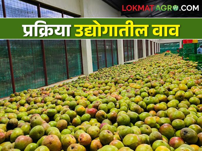 Want to start an agro processing industry? There are limitless opportunities here | कृषी प्रक्रिया उद्योग सुरु करायचाय? या ठिकाणी आहेत अमर्याद संधी Want to start an agro processing industry? There are limitless opportunities here | कृषी प्रक्रिया उद्योग सुरु करायचाय? या ठिकाणी आहेत अमर्याद संधी