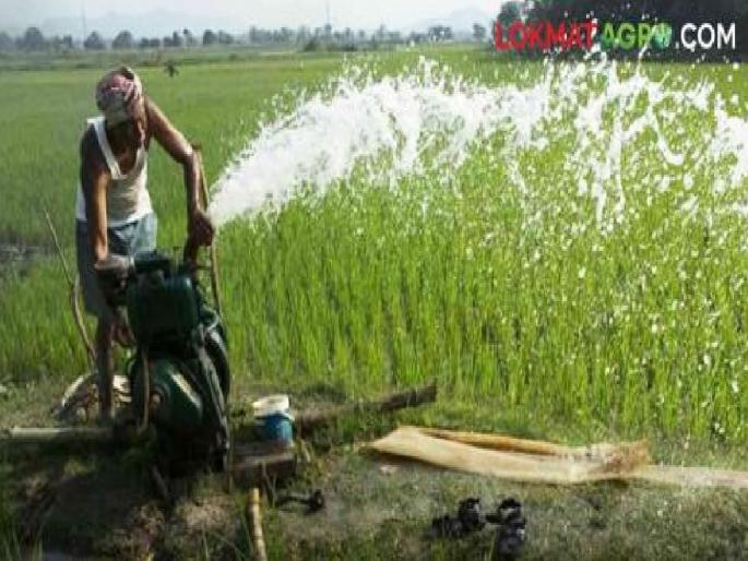 Before the assembly elections, the electricity bills which were zeroed by the government to the agricultural pump holders have now been paid in arrears | कृषी पंपधारकांची फसवणूक; निवडणुकीपूर्वी वीज बिल शून्य, आता भरा थकबाकी