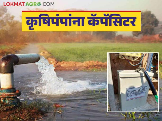 This irrigation pump many times shuts off then use this device for get uninterrupted power supply | विहिरीवरील मोटर सारखीच बंद पडतेय बसवा हे यंत्र; मिळेल अखंडित वीजपुरवठा This irrigation pump many times shuts off then use this device for get uninterrupted power supply | विहिरीवरील मोटर सारखीच बंद पडतेय बसवा हे यंत्र; मिळेल अखंडित वीजपुरवठा