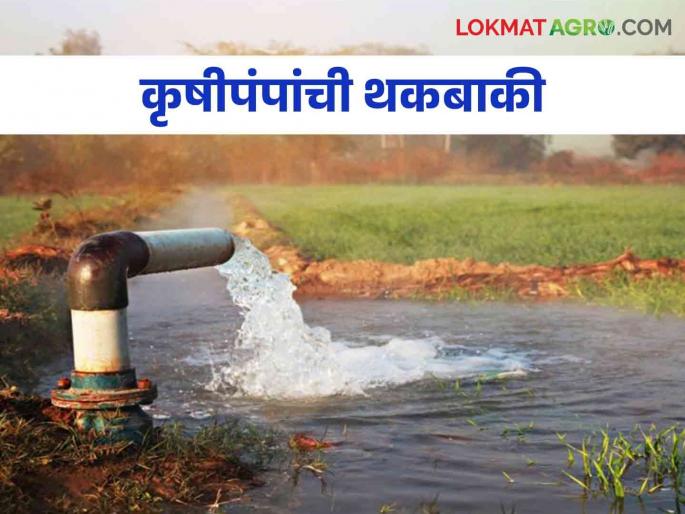 The electricity of agricultural pumps will be waived but not at all, who will benefit | कृषीपंपांची थकबाकी होणार माफ पण कुणाला मिळणार लाभ The electricity of agricultural pumps will be waived but not at all, who will benefit | कृषीपंपांची थकबाकी होणार माफ पण कुणाला मिळणार लाभ