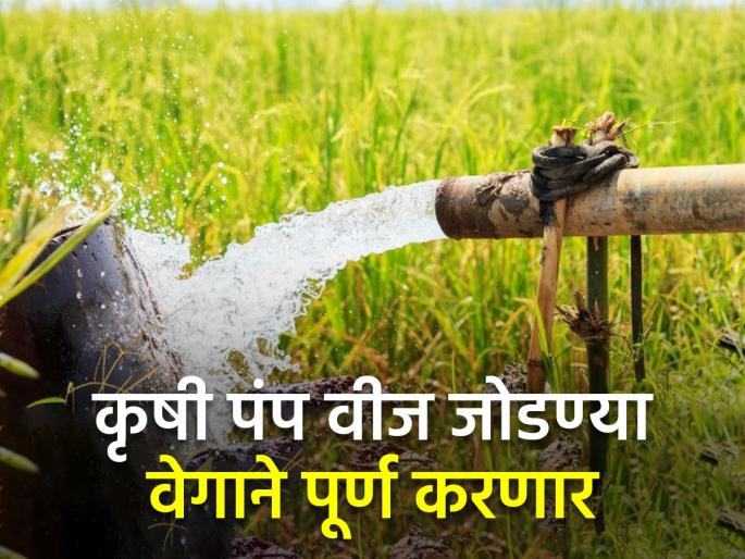 Extension of High Pressure Distribution System Scheme for Agriculture Pump Power Connection | कृषी पंप वीज जोडणीसाठी उच्च दाब वितरण प्रणाली योजनेला मुदतवाढ Extension of High Pressure Distribution System Scheme for Agriculture Pump Power Connection | कृषी पंप वीज जोडणीसाठी उच्च दाब वितरण प्रणाली योजनेला मुदतवाढ