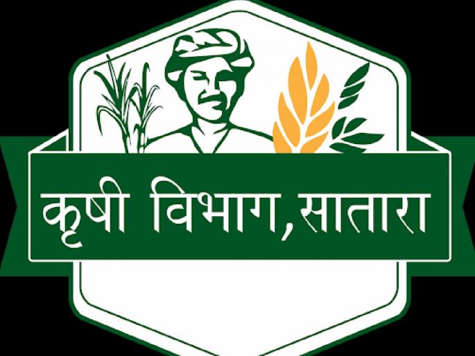 Satar District Superintendent Agriculture Office got ISO certification  | सातारचे जिल्हा अधीक्षक कृषी कार्यालयास आयएसओ मानांकन प्राप्त  Satar District Superintendent Agriculture Office got ISO certification  | सातारचे जिल्हा अधीक्षक कृषी कार्यालयास आयएसओ मानांकन प्राप्त