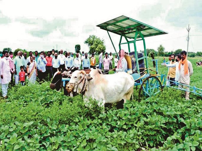 Baliraja's labor will be less; Developed bullock, tractor driven sprayer | बळीराजाचे श्रम होणार कमी; बैल, ट्रॅक्टरचलित फवारणी यंत्र झाले विकसित Baliraja's labor will be less; Developed bullock, tractor driven sprayer | बळीराजाचे श्रम होणार कमी; बैल, ट्रॅक्टरचलित फवारणी यंत्र झाले विकसित