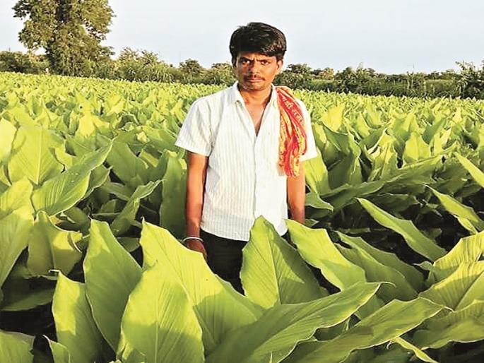 By micro planning farming successful even during a severe drought | भीषण दुष्काळातही चोख व्यवस्थापनाने शेती केली यशस्वी