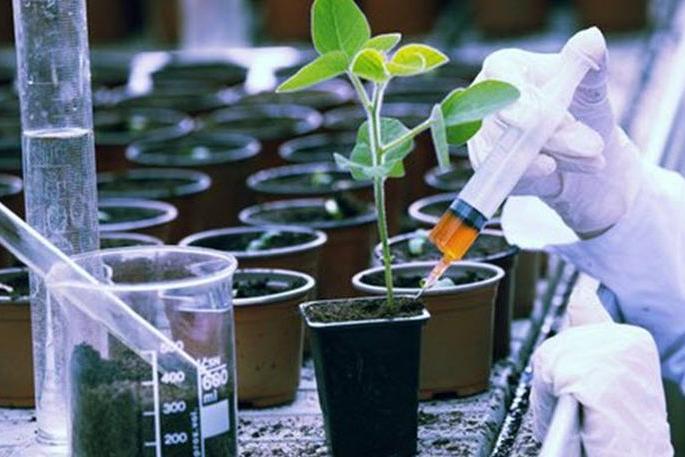 Emphasis on delivering agricultural research, technology to the village level! | कृषी संशोधन, तंत्रज्ञान गावपातळीवर पोहोचविण्यावर भर!