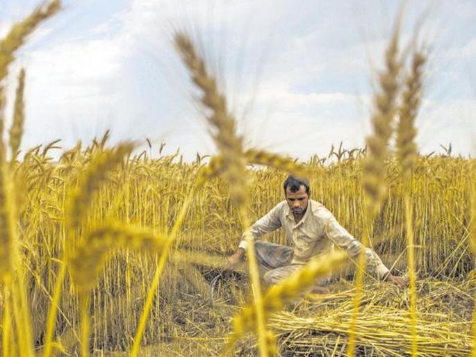 States have more funds to fight against the crisis of agriculture! | कृषी संकटाच्या मुकाबल्यासाठी राज्यांना हवा अधिक निधी! States have more funds to fight against the crisis of agriculture! | कृषी संकटाच्या मुकाबल्यासाठी राज्यांना हवा अधिक निधी!