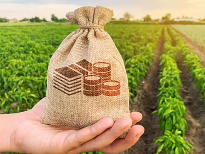 TDCC Bank farmers meet for distribution of crop loans worth Rs 573 crore | ५७३ कोटींच्या पीक कर्ज वाटपासाठी टीडीसीसी बँकेचे शेतकरी मेळावे TDCC Bank farmers meet for distribution of crop loans worth Rs 573 crore | ५७३ कोटींच्या पीक कर्ज वाटपासाठी टीडीसीसी बँकेचे शेतकरी मेळावे