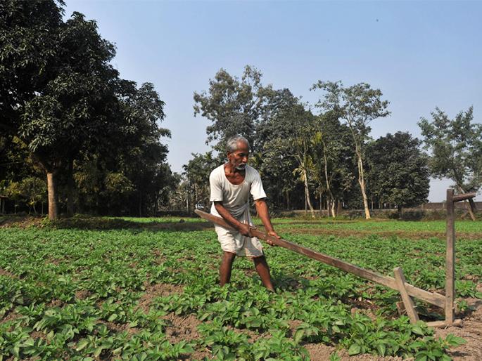 Coronavirus: Agricultural shops in Hingoli will continue daily | Coronavirus : हिंगोलीत कृषीची दुकाने रोज सुरू राहणार