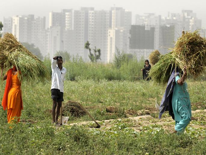 Consumption of agricultural production can be increased due to organic fertilizers; | सेंद्रिय खतामुळे शेती उत्पादनात वाढ शक्य;कृषी विकासातील सीमोल्लंघनाचा विचार Consumption of agricultural production can be increased due to organic fertilizers; | सेंद्रिय खतामुळे शेती उत्पादनात वाढ शक्य;कृषी विकासातील सीमोल्लंघनाचा विचार