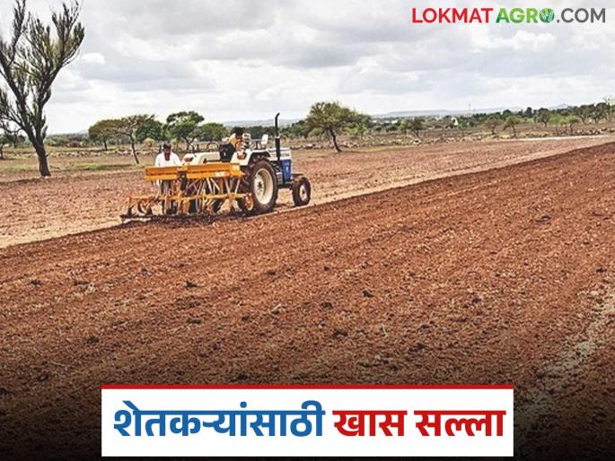 latest news Krushi Salla: Agricultural advice in the wake of rains: Which crops, when to sow? Read in detail | Krushi Salla : पावसाच्या पार्श्वभूमीवर शेती सल्ला: कोणती पिके, कधी पेरणी? वाचा सविस्तर