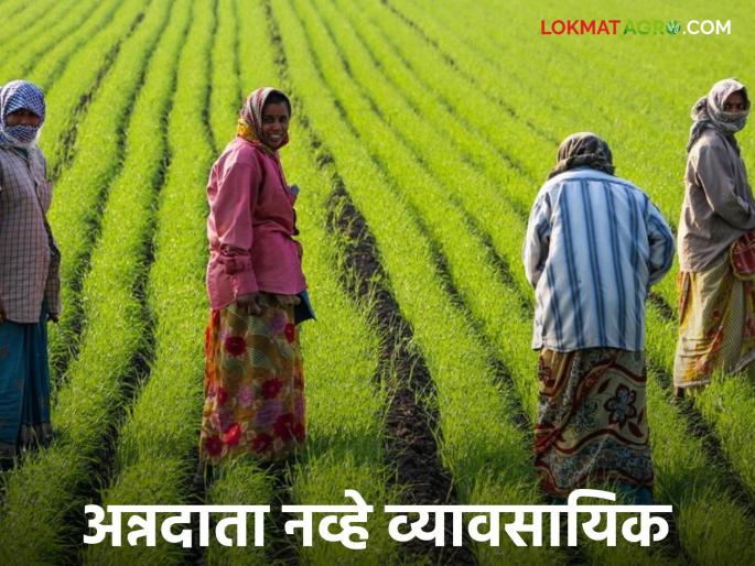 Agriculture Sector: latest news India is not an agricultural-oriented country, but a consumer-oriented country! Read the reasons behind this in detail | Agriculture Sector : कृषिप्रधान नव्हे, ग्राहकप्रधान भारत! काय आहेत यामागील कारणं वाचा सविस्तर Agriculture Sector: latest news India is not an agricultural-oriented country, but a consumer-oriented country! Read the reasons behind this in detail | Agriculture Sector : कृषिप्रधान नव्हे, ग्राहकप्रधान भारत! काय आहेत यामागील कारणं वाचा सविस्तर