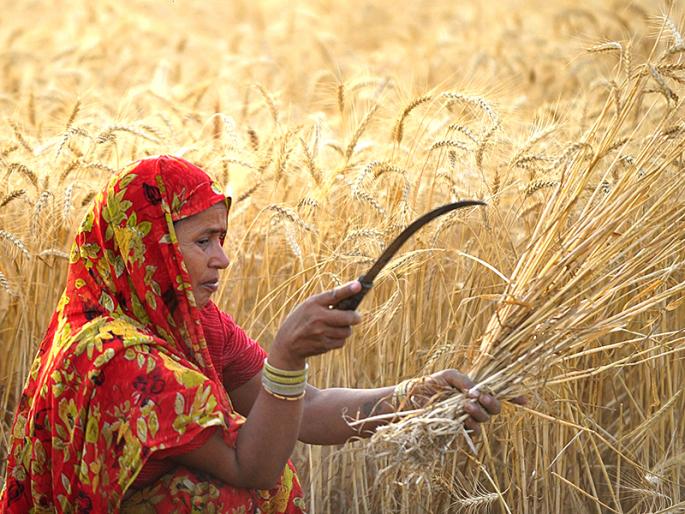 There will be three agriculture-based industries | शेतीपूरक ६५ उद्योग होणार सुरू