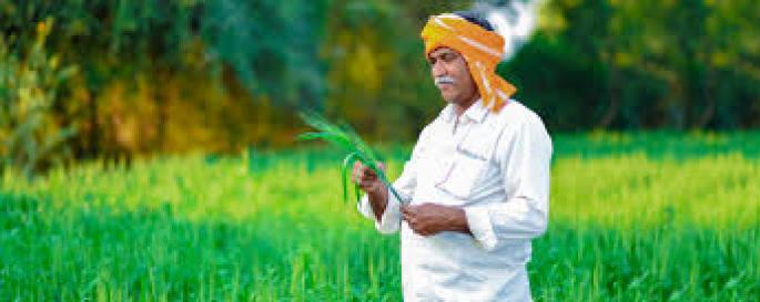 Agriculture Revitalization Week from 1st to 7th July to increase farmers' income | शेतकऱ्यांचे उत्पन्न वाढण्यासाठी 1 ते 7 जुलै कालावधीत कृषि संजीवनी सप्ताह Agriculture Revitalization Week from 1st to 7th July to increase farmers' income | शेतकऱ्यांचे उत्पन्न वाढण्यासाठी 1 ते 7 जुलै कालावधीत कृषि संजीवनी सप्ताह