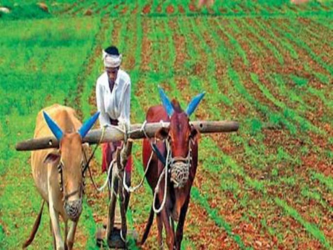 Maharashtra's agricultural policy !, ... only then the meaning of independent law | महाराष्ट्राचे कृषिधोरण!,...तरच स्वतंत्र कायद्याला अर्थ Maharashtra's agricultural policy !, ... only then the meaning of independent law | महाराष्ट्राचे कृषिधोरण!,...तरच स्वतंत्र कायद्याला अर्थ