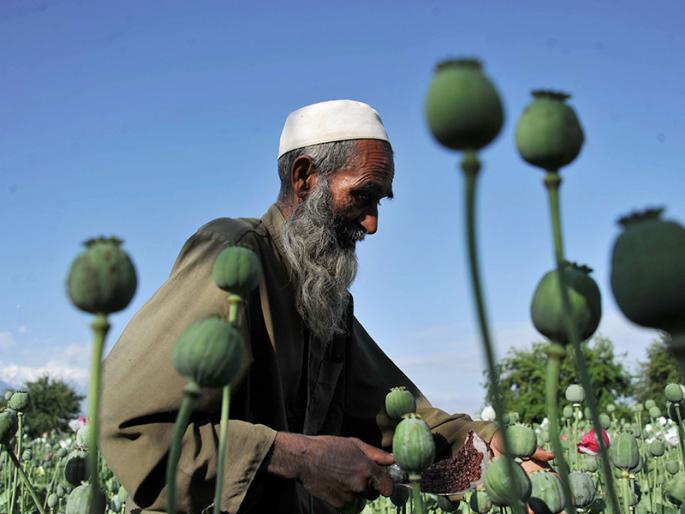 Action on the not-so-called essay of market committee meeting | बाजार समितीच्या बैठकीस न जाणा-या निबंधकावर कारवाई Action on the not-so-called essay of market committee meeting | बाजार समितीच्या बैठकीस न जाणा-या निबंधकावर कारवाई