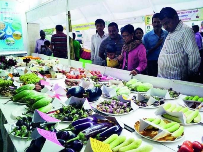 The future of district agricultural festivals depends on the situation in Corona | कोरोनाच्या परिस्थितीवर जिल्हा कृषी महोत्सवांचे भवितव्य अवलंबून