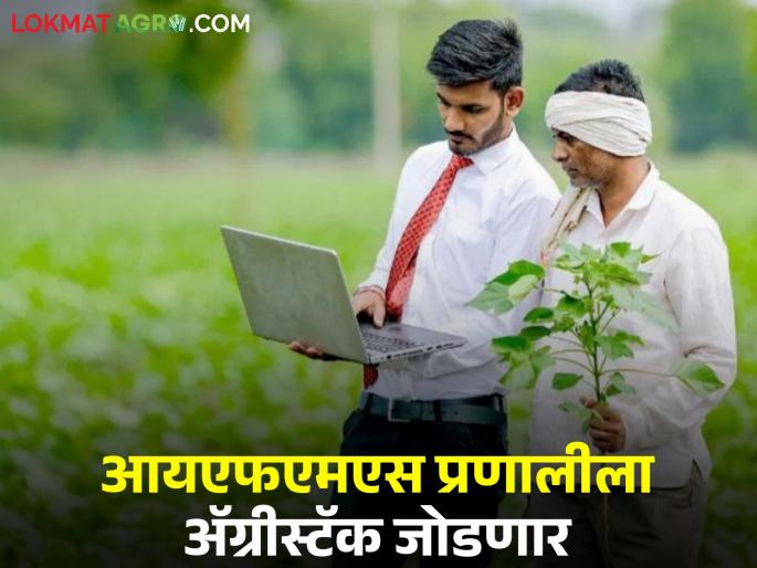 Latest News Agricculture news Agristack to connect to IFMS system for subsidized fertilizers | 'या' शेतकऱ्यांनाही मिळणार अनुदानित खते, नाशिकची पथदर्शी जिल्हा म्हणून निवड
