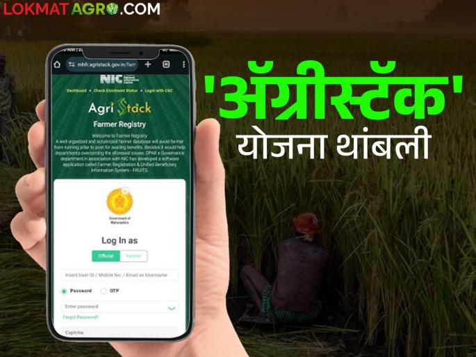 Agristack Scheme Maharashtra : Agristack scheme implementation in maharashtra state become slower | Agristack Scheme Maharashtra : केंद्र शासनाच्या अॅग्रीस्टॅक योजनेस गती मिळण्याची शक्यता कमी Agristack Scheme Maharashtra : Agristack scheme implementation in maharashtra state become slower | Agristack Scheme Maharashtra : केंद्र शासनाच्या अॅग्रीस्टॅक योजनेस गती मिळण्याची शक्यता कमी