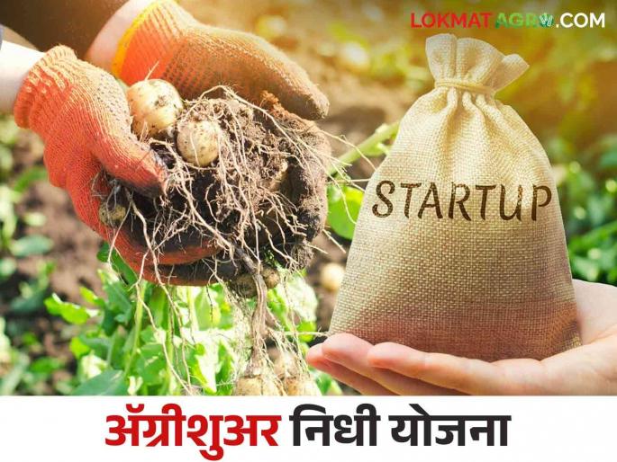 AgriSURE Fund : Good News for Startups and Rural Entrepreneurs Agriculture Fund Scheme | AgriSURE Fund : स्टार्टअप्स आणि ग्रामीण उद्योजकांसाठी खुशखबर आली कृषीविषयक निधी योजना