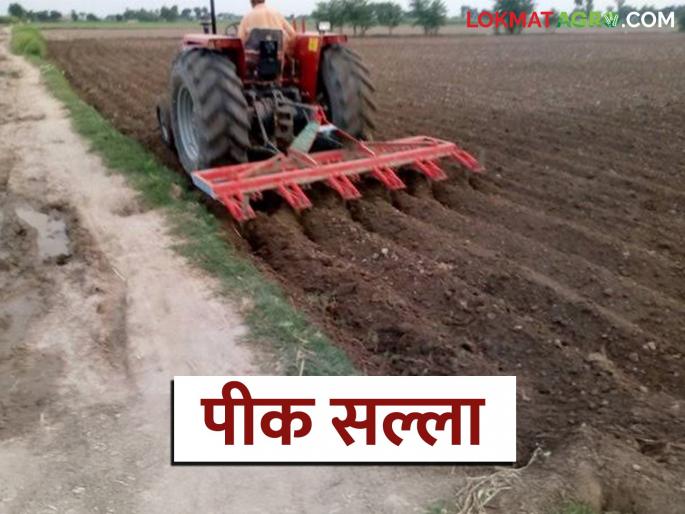 latest news Krushi Salla: Very important weather and crop advisory for farmers in Marathwada! Read in detail | Krushi Salla : मराठवाड्यातील शेतकऱ्यांसाठी अत्यंत महत्त्वाचा हवामान व पीक सल्ला! वाचा सविस्तर latest news Krushi Salla: Very important weather and crop advisory for farmers in Marathwada! Read in detail | Krushi Salla : मराठवाड्यातील शेतकऱ्यांसाठी अत्यंत महत्त्वाचा हवामान व पीक सल्ला! वाचा सविस्तर