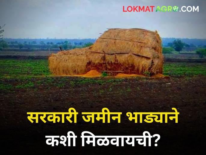 How to get government land on rent Maharashtra state farming corporation | सरकारी जमीन भाड्याने कशी मिळवायची? How to get government land on rent Maharashtra state farming corporation | सरकारी जमीन भाड्याने कशी मिळवायची?