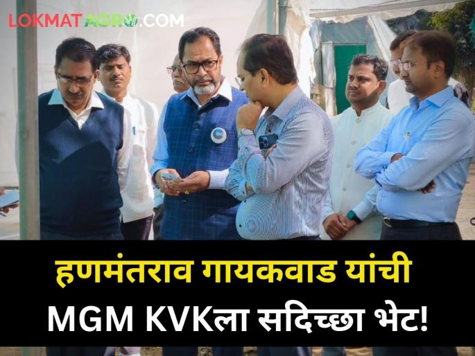 BVG Hanmantrao Gaikwad goodwill visit to MGM KVK chhatrapati sambhajinagar | BVGचे हणमंतराव गायकवाड यांची MGM केव्हीकेला सदिच्छा भेट! BVG Hanmantrao Gaikwad goodwill visit to MGM KVK chhatrapati sambhajinagar | BVGचे हणमंतराव गायकवाड यांची MGM केव्हीकेला सदिच्छा भेट!