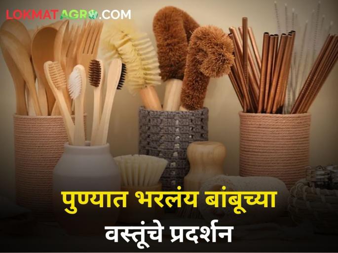 Bamboo bottle socks shirt watch and more Exhibition bamboo products held in Pune | बांबूची बाटली, सॉक्स, शर्ट, घड्याळ अन् बरंच काही! पुण्यात भरलंय बांबूच्या वस्तूंचे प्रदर्शन Bamboo bottle socks shirt watch and more Exhibition bamboo products held in Pune | बांबूची बाटली, सॉक्स, शर्ट, घड्याळ अन् बरंच काही! पुण्यात भरलंय बांबूच्या वस्तूंचे प्रदर्शन
