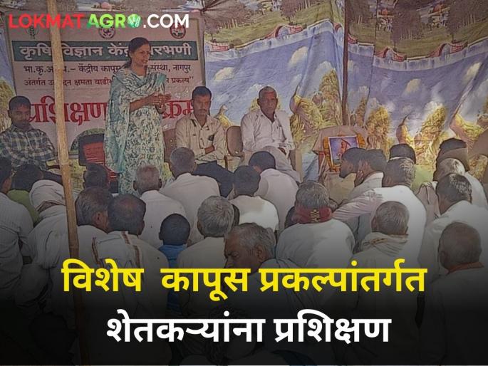 Training of farmers under Special Cotton Project krushi vigyan kendra parbhani and icar | विशेष कापूस प्रकल्पांतर्गत शेतकऱ्यांना प्रशिक्षण Training of farmers under Special Cotton Project krushi vigyan kendra parbhani and icar | विशेष कापूस प्रकल्पांतर्गत शेतकऱ्यांना प्रशिक्षण