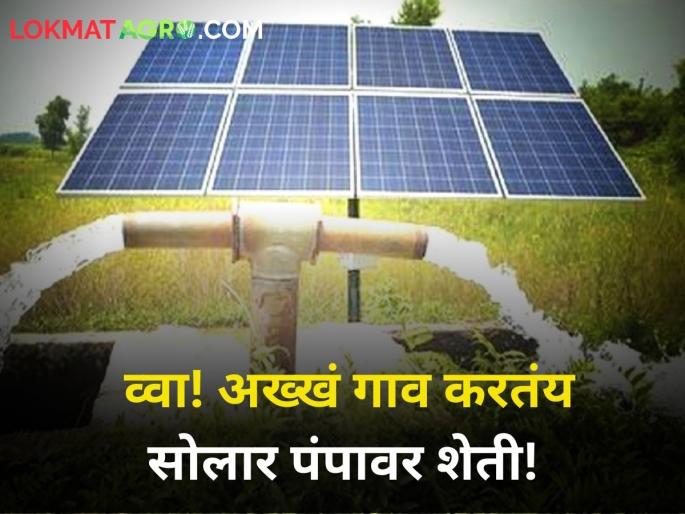 solapur tembhurni one village 425 farmer use solar pump light motor for water condervation farming | तुमची वीज नको, आम्ही आमचे समर्थ आहोत! गावातल्या तब्बल ४२५ शेतकऱ्यांकडे सोलार वीज पंप solapur tembhurni one village 425 farmer use solar pump light motor for water condervation farming | तुमची वीज नको, आम्ही आमचे समर्थ आहोत! गावातल्या तब्बल ४२५ शेतकऱ्यांकडे सोलार वीज पंप