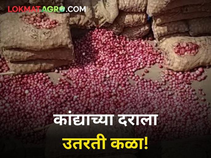 Onion prices are falling again! | कांद्याच्या दराला पुन्हा उतरती कळा! राज्यभरातील दर १५ रूपयांच्या आसपास Onion prices are falling again! | कांद्याच्या दराला पुन्हा उतरती कळा! राज्यभरातील दर १५ रूपयांच्या आसपास