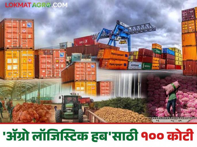 Exports of agricultural products will increase; Agro-logistics hubs will be set up at four places in the state | शेतमालाची निर्यात वाढणार; राज्यात चार ठिकाणी होणार ॲग्रो लॉजिस्टिक हब Exports of agricultural products will increase; Agro-logistics hubs will be set up at four places in the state | शेतमालाची निर्यात वाढणार; राज्यात चार ठिकाणी होणार ॲग्रो लॉजिस्टिक हब