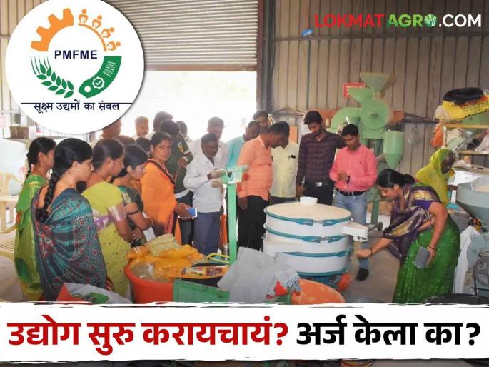 Latest News Apply to set up processing industry in Nashik district see details | Government Scheme : नाशिक जिल्ह्यात प्रक्रिया उद्योग उभारायचा आहे? जाणून घेऊ संपूर्ण प्रक्रिया Latest News Apply to set up processing industry in Nashik district see details | Government Scheme : नाशिक जिल्ह्यात प्रक्रिया उद्योग उभारायचा आहे? जाणून घेऊ संपूर्ण प्रक्रिया