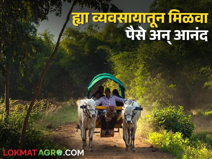 Agro Tourism; assured business that provides seasonal income and employment opportunities | Agro Tourism कृषी पर्यटन; हंगामी उत्पन्न व रोजगाराच्या संधी देणारा हुकमी व्यवसाय