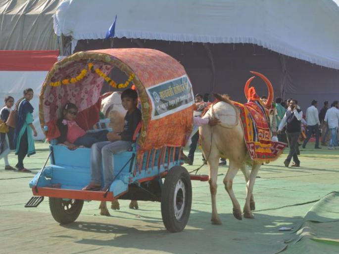 AgroTech 2017: Rarely used to transport the bamboo to the traffic once! | अॅग्रोेटेक २0१७ : एकेकाळी वाहतुकीसाठी वापर होणा-या दमणीची सैर आता दुर्लभच! AgroTech 2017: Rarely used to transport the bamboo to the traffic once! | अॅग्रोेटेक २0१७ : एकेकाळी वाहतुकीसाठी वापर होणा-या दमणीची सैर आता दुर्लभच!