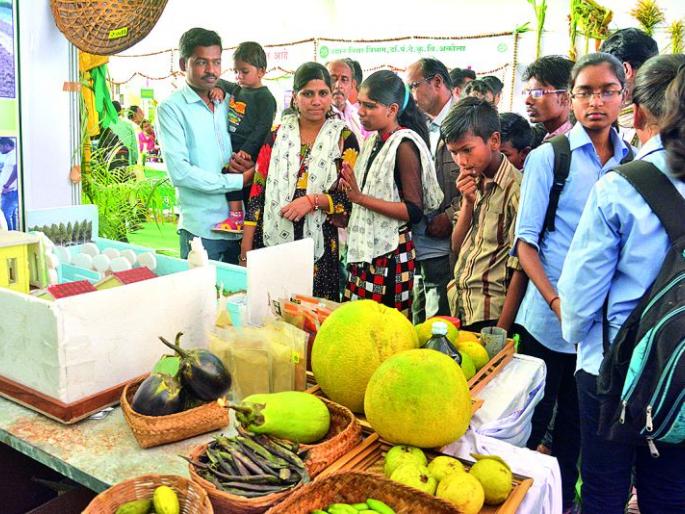 Curious about the healthy show in agriculture exhibition! | कृषी प्रदर्शनामध्ये आरोग्यवर्धक रानभाज्यांविषयी कुतूहल!