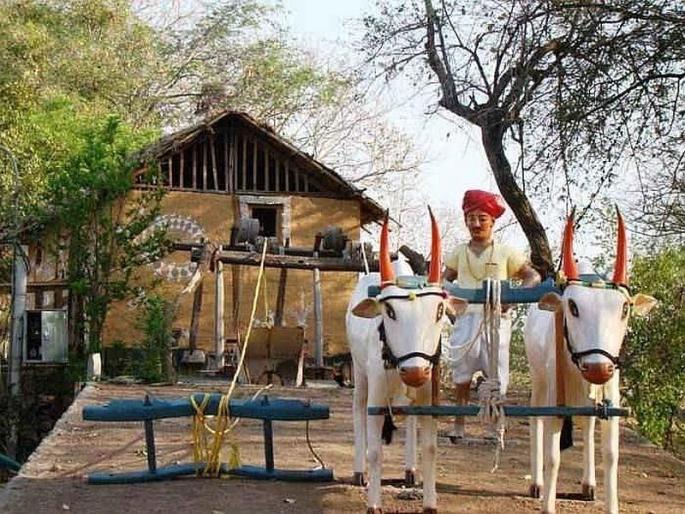 Ideal Agrotourism in the state to be implemented in Akola | अकोल्यात साकारणार राज्यातील पहिला आदर्श ॲग्री-टुरिझम