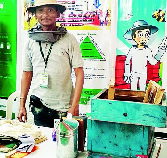 Agro Vision: A boon for peasants depending on Honey bee box | अॅग्रो व्हिजन : मधुमक्षिका पेटी ठरतेय शेतकऱ्यांसाठी वरदान Agro Vision: A boon for peasants depending on Honey bee box | अॅग्रो व्हिजन : मधुमक्षिका पेटी ठरतेय शेतकऱ्यांसाठी वरदान