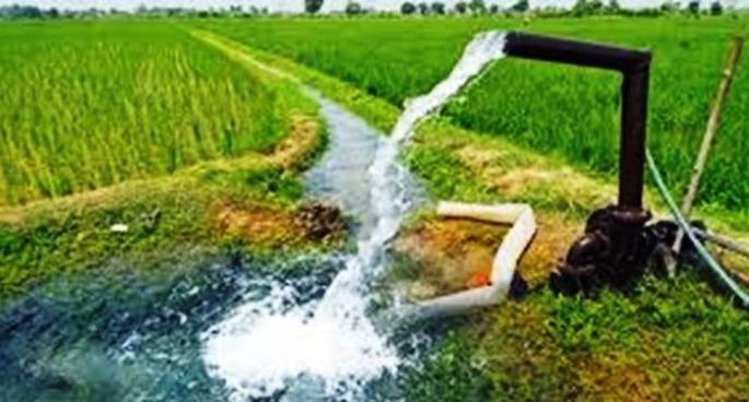 Connection of 5,000 agricultural pumps in Washim district, which was stalled despite payment |  पैसे भरूनही रखडल्या वाशिम जिल्ह्यातील पाच हजार कृषीपंप जोडण्या