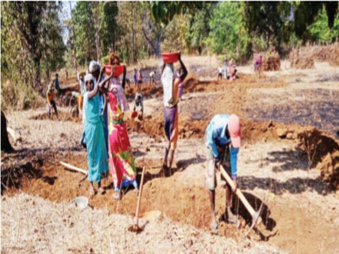 14.57 lakhs of laborers are exhausted | राेहयाे मजुरांचे 14.57 काेटी थकीत; निधीअभावी योजनेला ब्रेक 14.57 lakhs of laborers are exhausted | राेहयाे मजुरांचे 14.57 काेटी थकीत; निधीअभावी योजनेला ब्रेक