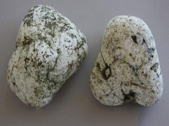 Smuggling of whale vomit by retired police man in mumbai | बडतर्फ पोलीसही करत होता व्हेल माशाच्या उलटीची तस्करी;पावणेआठ कोटी रुपयांची उलटी जप्त Smuggling of whale vomit by retired police man in mumbai | बडतर्फ पोलीसही करत होता व्हेल माशाच्या उलटीची तस्करी;पावणेआठ कोटी रुपयांची उलटी जप्त
