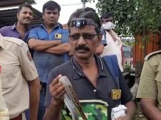 Sapacha Bhiwandi to Kalyan bus journey; Fear the driver, the passenger with the carrier | सापाचा भिवंडी ते कल्याण बस प्रवास; चालक,वाहकासह प्रवासी भयभीत Sapacha Bhiwandi to Kalyan bus journey; Fear the driver, the passenger with the carrier | सापाचा भिवंडी ते कल्याण बस प्रवास; चालक,वाहकासह प्रवासी भयभीत