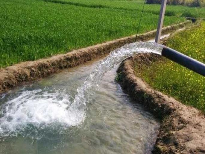 Opportunity to reduce electricity bills of agricultural pumps; 44.50 lakh farmers in the state will benefit | कृषिपंपांचे वीज बिल कोरे करण्याची संधी; राज्यातील ४४.५० लाख शेतकऱ्यांचा होणार फायदा Opportunity to reduce electricity bills of agricultural pumps; 44.50 lakh farmers in the state will benefit | कृषिपंपांचे वीज बिल कोरे करण्याची संधी; राज्यातील ४४.५० लाख शेतकऱ्यांचा होणार फायदा