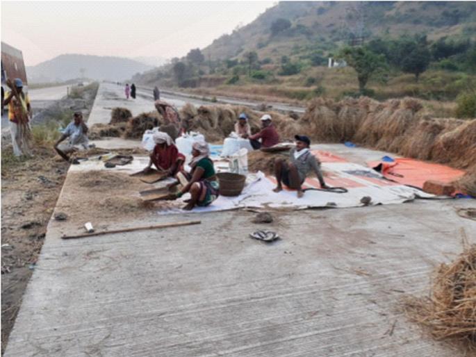 Farmers worried about Diwali this year; | यंदा शेतकऱ्यांची दिवाळी चिंतेत; पावसामुळे महाडमध्ये ९० टक्के शेतकऱ्यांचे नुकसान Farmers worried about Diwali this year; | यंदा शेतकऱ्यांची दिवाळी चिंतेत; पावसामुळे महाडमध्ये ९० टक्के शेतकऱ्यांचे नुकसान