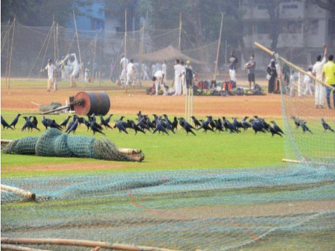 Two crore reduction in Shivaji Park renovation project | शिवाजी पार्क नूतनीकरण प्रकल्पात दोन कोटींची कपात Two crore reduction in Shivaji Park renovation project | शिवाजी पार्क नूतनीकरण प्रकल्पात दोन कोटींची कपात