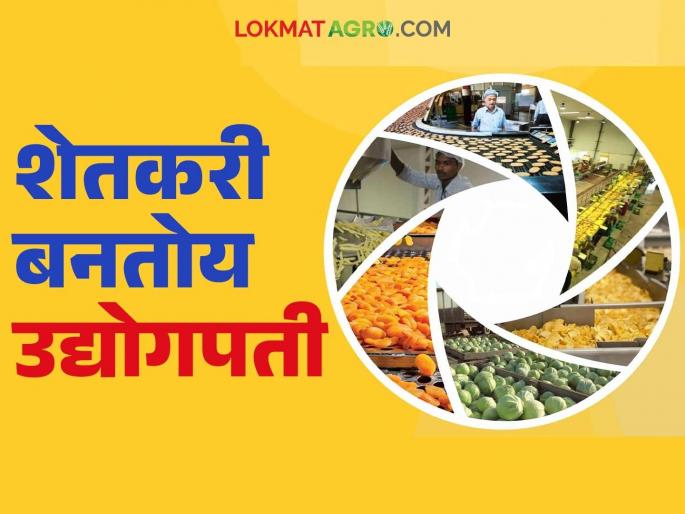 1,435 farmers became industrialists through the micro food processing industry scheme; This district is the leader in the state | सूक्ष्म अन्न प्रक्रिया उद्योग योजनेतून १,४३५ शेतकरी बनले उद्योगपती; हा जिल्हा राज्यात अग्रेसर