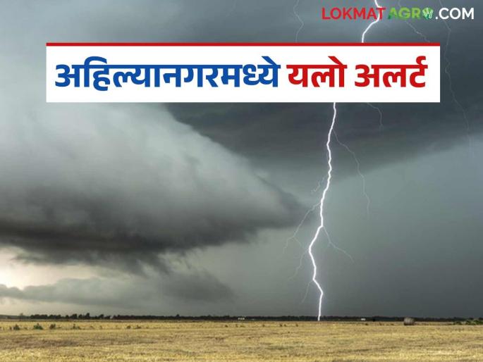 Rain with gusty winds likely for next three days in this district of the state; Yellow alert issued | राज्यातील या जिल्ह्यात पुढील तीन दिवस वादळी वाऱ्यासह पावसाची शक्यता; यलो अलर्ट जारी Rain with gusty winds likely for next three days in this district of the state; Yellow alert issued | राज्यातील या जिल्ह्यात पुढील तीन दिवस वादळी वाऱ्यासह पावसाची शक्यता; यलो अलर्ट जारी