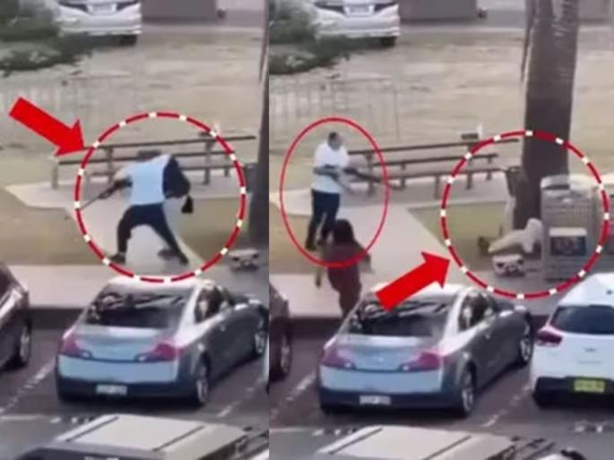 bondi beach shooting ahmed al ahmed story who saved many naveed akram | सुपरहिरो! "मी मरणार आहे, कुटुंबाला सांगा...", गन हिसकावली, दहशतवाद्यांशी भिडला अहमद bondi beach shooting ahmed al ahmed story who saved many naveed akram | सुपरहिरो! "मी मरणार आहे, कुटुंबाला सांगा...", गन हिसकावली, दहशतवाद्यांशी भिडला अहमद