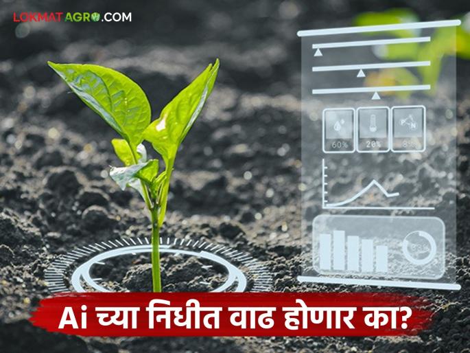Latest News AI in Agriculture AI will increase funds for agricultural development, says Deputy Chief Minister | Ai in Agriculture : Ai शेती विकसित कारण्यासाठी निधीत वाढ करणार, उपमुख्यमंत्र्यांची माहिती Latest News AI in Agriculture AI will increase funds for agricultural development, says Deputy Chief Minister | Ai in Agriculture : Ai शेती विकसित कारण्यासाठी निधीत वाढ करणार, उपमुख्यमंत्र्यांची माहिती