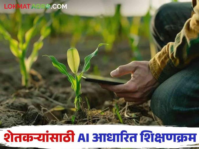 Latest News AI Agriculture Syllabus for Farmers in Open University nashik see details | AI Agriculture Syllabus : आता बांधावर बसून AI शेती शिक्षण, मुक्त विद्यापीठात शेतकऱ्यांसाठी AI शिक्षणक्रम Latest News AI Agriculture Syllabus for Farmers in Open University nashik see details | AI Agriculture Syllabus : आता बांधावर बसून AI शेती शिक्षण, मुक्त विद्यापीठात शेतकऱ्यांसाठी AI शिक्षणक्रम